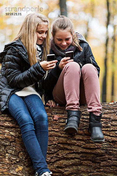 Mädchen mit Smartphone auf Baumstamm im Herbstwald