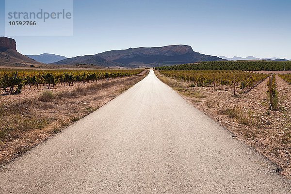 Verminderte Aussicht auf eine leere Straße durch Weinberge und Gebirge  Region Jumilla  Spanien