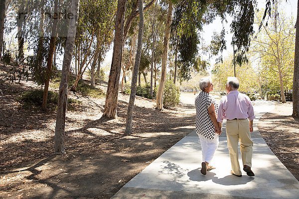 Seniorenpaar geht Hand in Hand  im Freien  Rückansicht