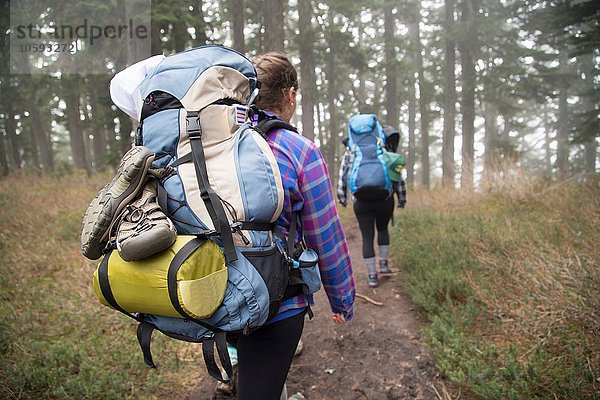 Wanderer  die durch den Wald wandern  Lake Blanco  Washington  USA