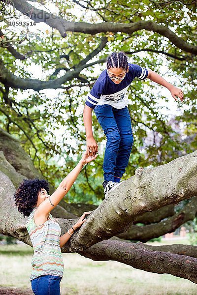 Reife Frau hält Söhne an der Hand und klettert auf den Baumzweig des Parks.