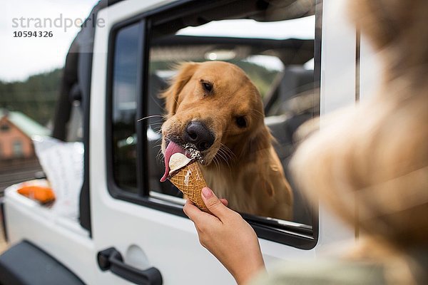 Über die Schulteransicht einer jungen Frau  die Hundeeis im Jeep füttert.