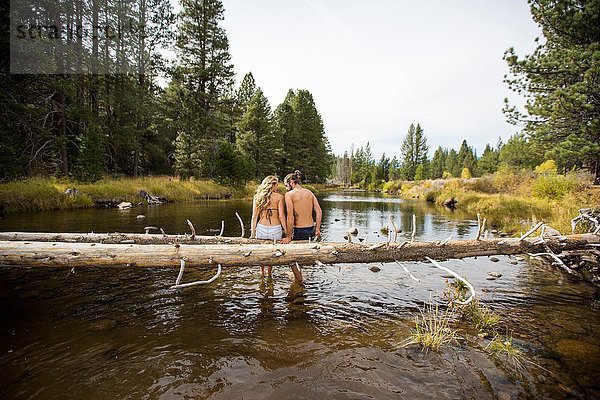 Rückansicht eines romantischen jungen Paares auf einem umgestürzten Baum im Fluss  Lake Tahoe  Nevada  USA