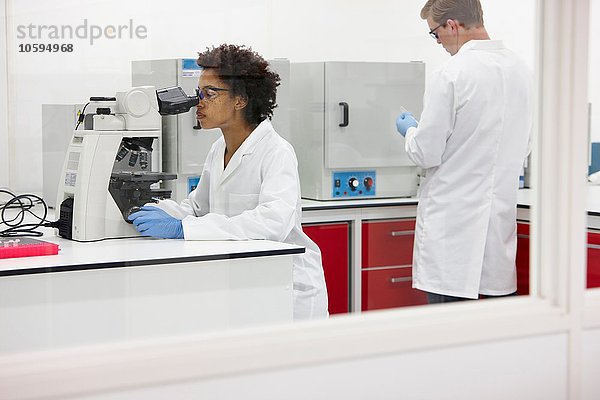 Wissenschaftler mit dem Mikroskop im Labor