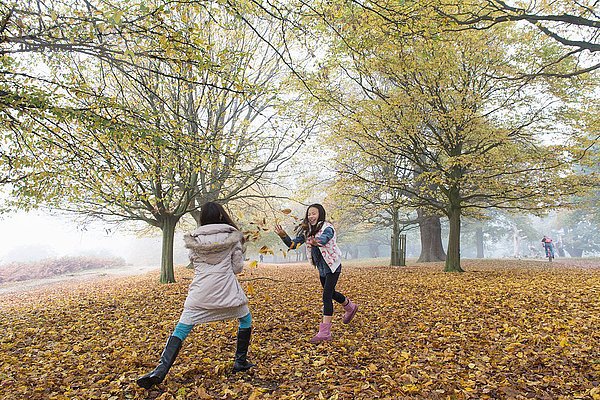 Zwei junge Mädchen spielen  werfen Blätter  im Wald  Herbst