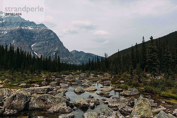 Felsiges Flussbett und Gebirge  Moränensee  Banff Nationalpark  Alberta Kanada