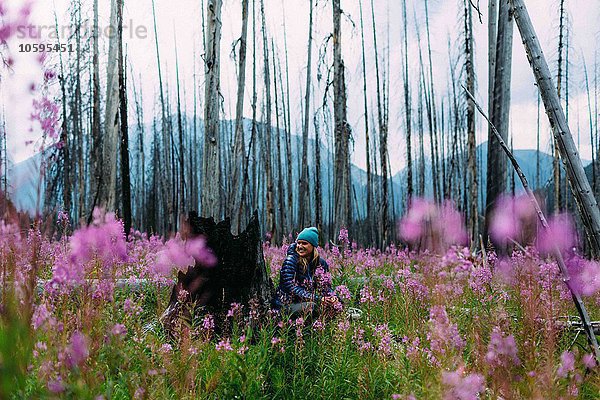 Mittlere erwachsene Frau sitzend am verbrannten Baumstumpf im Feld der Wildblumen lächelnd  Moränensee  Banff Nationalpark  Alberta Kanada