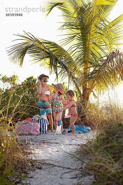 Junge und zwei Schwestern beim Muschelsammeln am Strand  Sanibel  Florida  USA