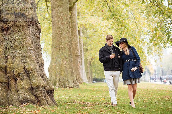 Romantisches junges Paar beim Lesen von Smartphone-Texten im Park  London  England  UK