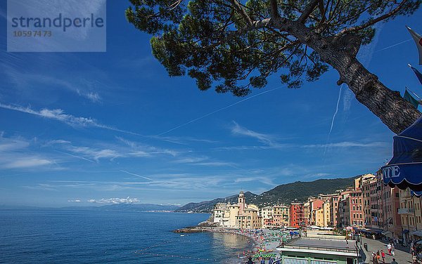 Erhöhter Blick auf das Wasser und das Mittelmeer  Camogli  Ligurien  Italien