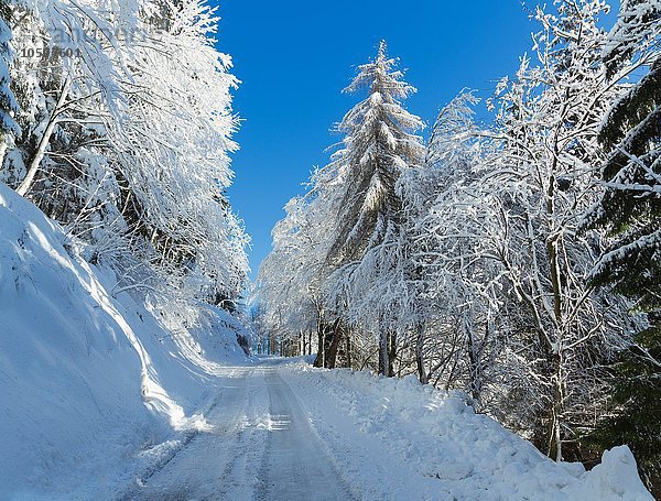 Verschneite Landstraße  Monte Rosa  Piemont  Italien