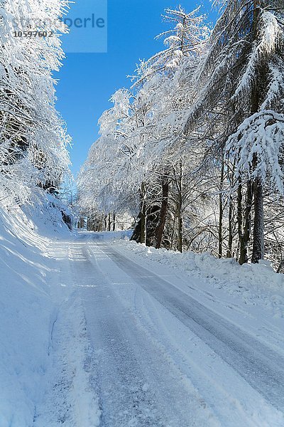 Schneebedeckte Landstraße  Monte Rosa  Piemont  Italien