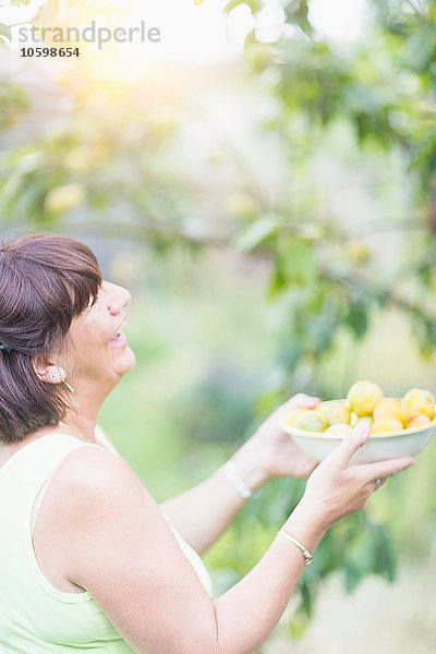 Seniorin hält Schale für gepflückte Pflaumen im Obstgarten hoch