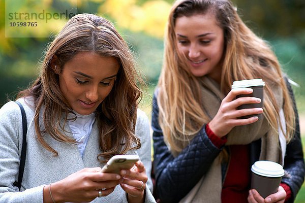 Zwei junge Freundinnen beim Lesen von Smartphone-Texten im Park