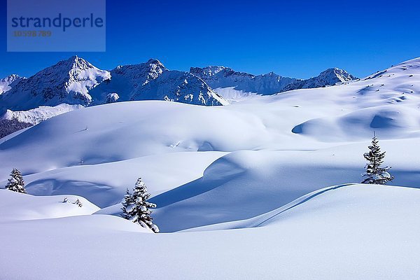 Tiefverschneite Landschaft und Tannenbäume  Arosa  Schweiz