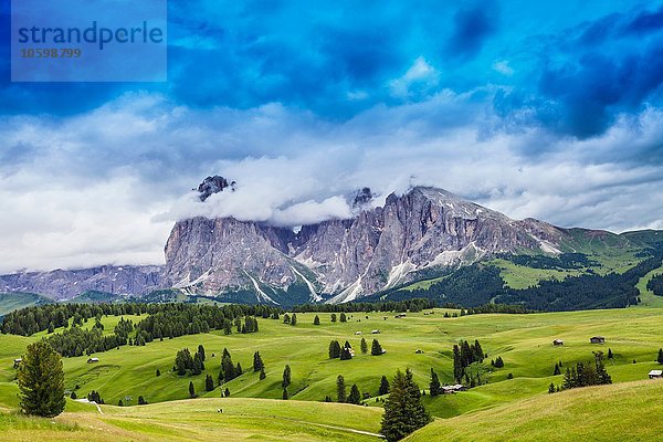 Felder und ferne Felsformationen  Dolomiten  Italien