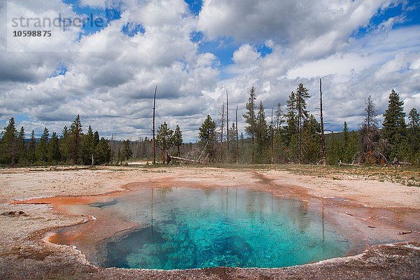Zitronenquelle  Thermalquelle am Firehole Lake Drive  Yellowstone National Park  Wyoming  USA