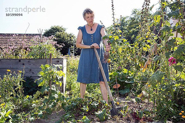 Reife Frau im Garten  mit dem Spaten graben  Gemüse in der Hand halten