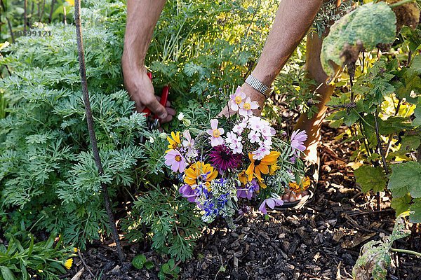 Reife Frau im Garten  niedrige Sektion