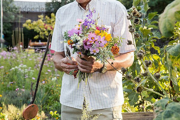 Senior Mann im Garten  hält einen Strauß frischer Schnittblumen  Mittelteil