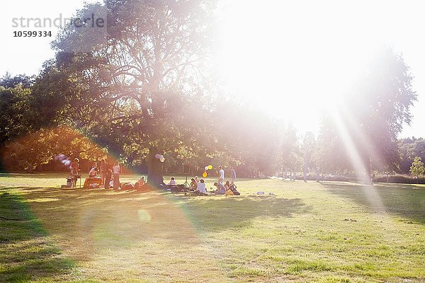 Erwachsene Freunde sitzen unter einem Baum bei Sonnenuntergang Party im Park