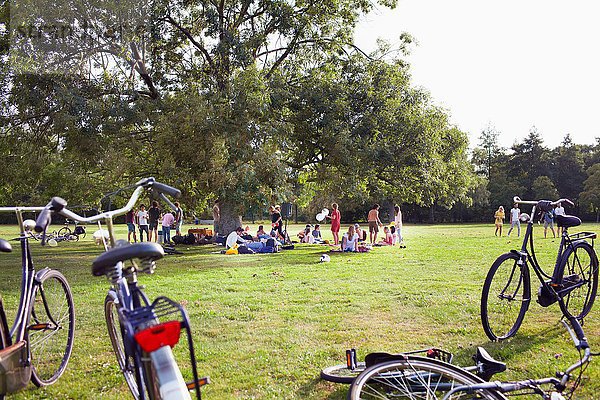 Gruppe von Freunden  die bei Sonnenuntergang unter einem Parkbaum feiern.