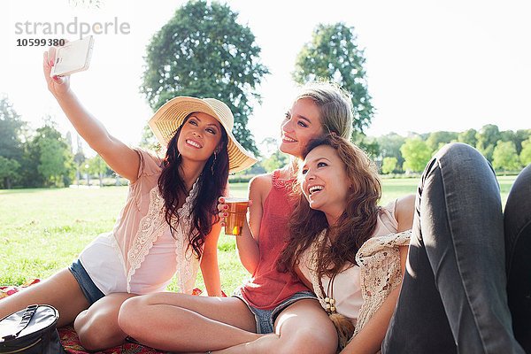 Weibliche Freunde nehmen Smartphone Selfie auf Park-Party