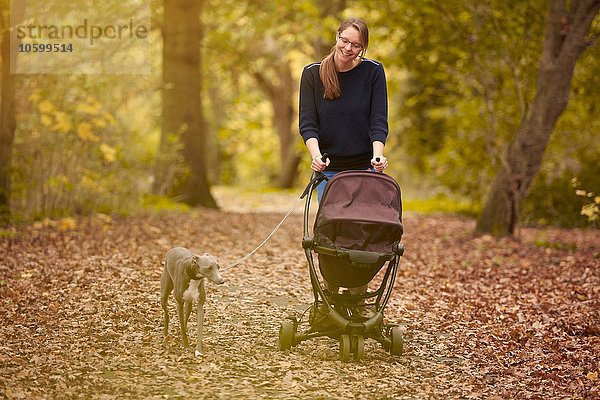 Mittlere erwachsene Mutter schiebt Kinderwagen und Wanderhund im Herbstpark