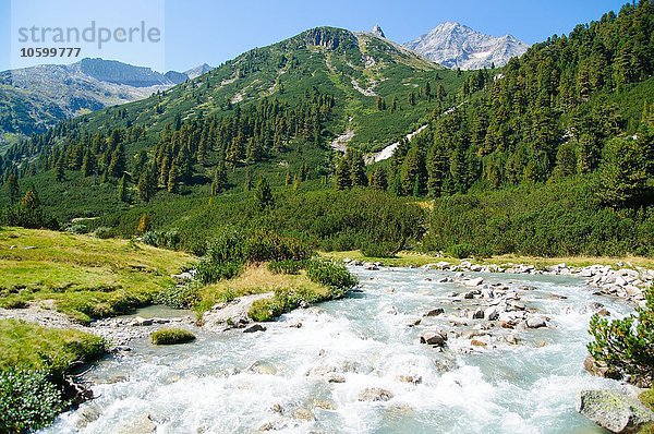 Hochgebirgsblick auf baumbestandene Berge und Flüsse im Naturpark Zillertal  Hochgebirgs Naturpark  Tirol  Österreich