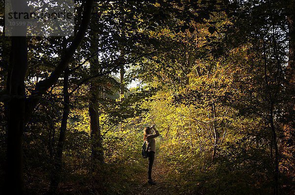 Seitenansicht der jungen Frau im Wald mit dem Fernglas  Worcestershire  UK