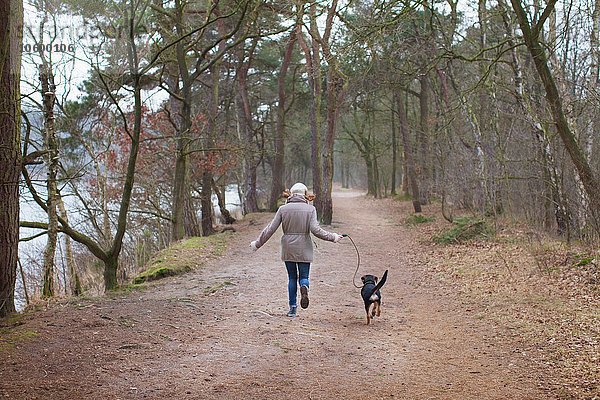 Rückansicht der Frau  die mit ihrem Hund im Wald läuft.