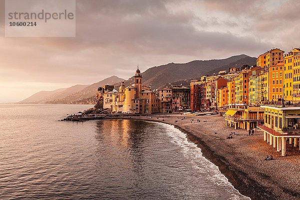 Erhöhter Blick auf Strand und Hotels  Camogli  Ligurien  Italien