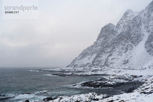 Schneesturm an der Küste  Lofoten und Vesteralen  Norwegen