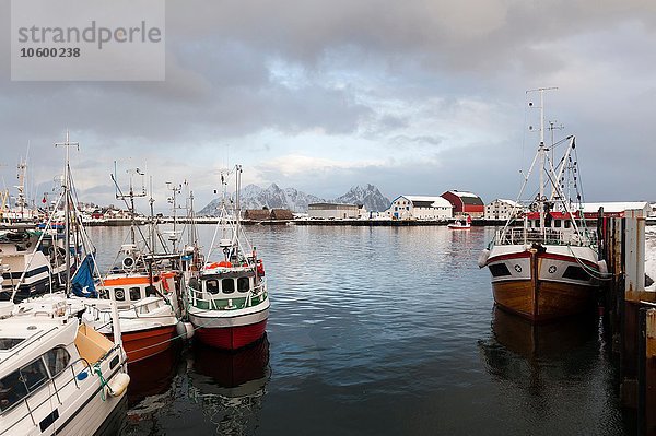 Fischerboote  Svolvaer  Lofoten  Norwegen