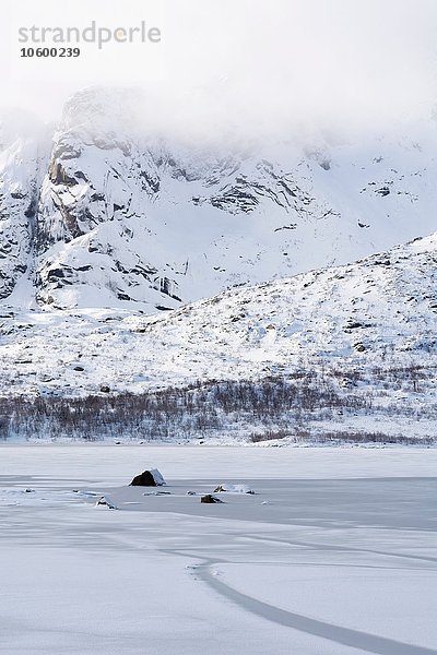 Gefrorener Fjord bei Svolvaer  Lofoten  Norwegen