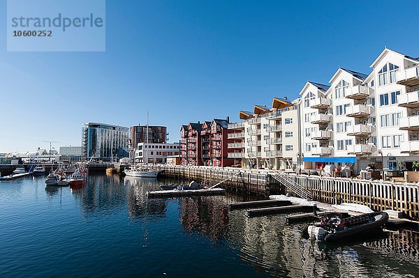 Reihe von Wohnungen am Wasser  Svolvaer  Lofoten  Norwegen