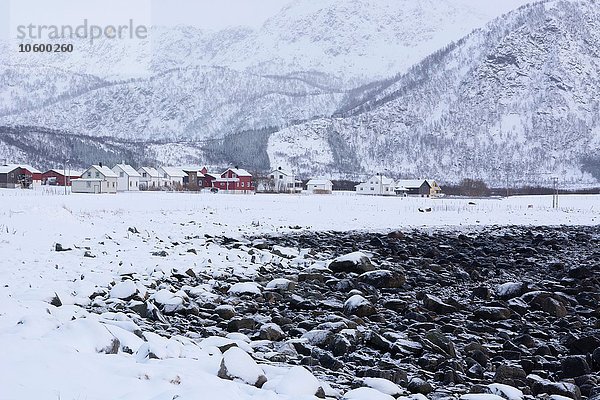 Verschneite Landschaft  Noss  Lofoten  Norwegen