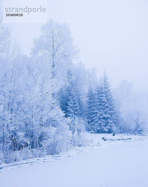 Winterlandschaft