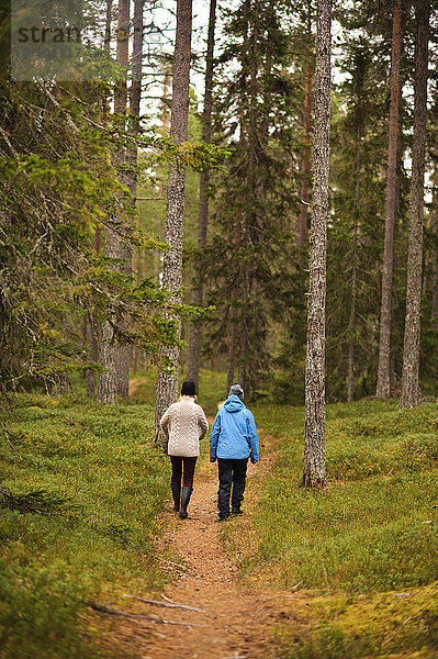 Zwei Frauen wandern durch den Wald