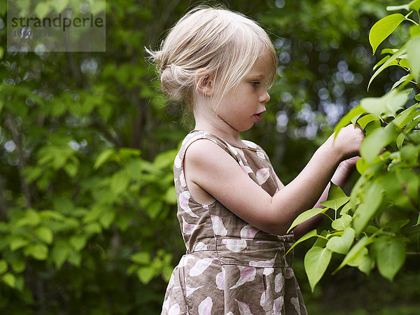 Mädchen betrachtet eine Pflanze im Garten