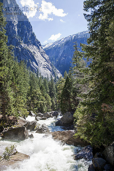 Flusslauf durch das Tal