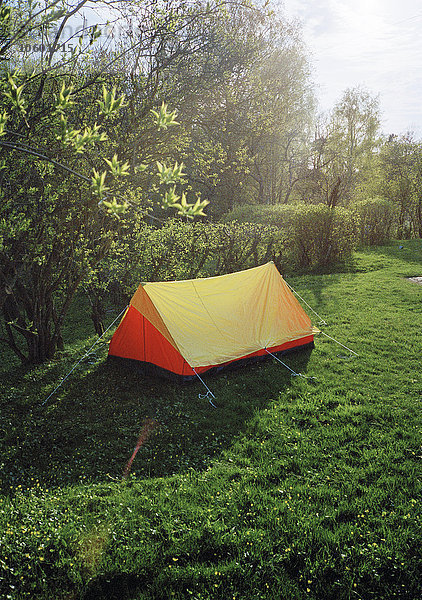 Ein Zelt in einem Garten.