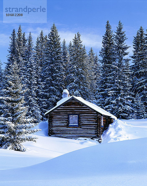 Blockhaus mit Wald im Hintergrund im Winter.