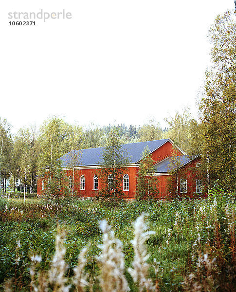 Holzhaus zwischen Bäumen