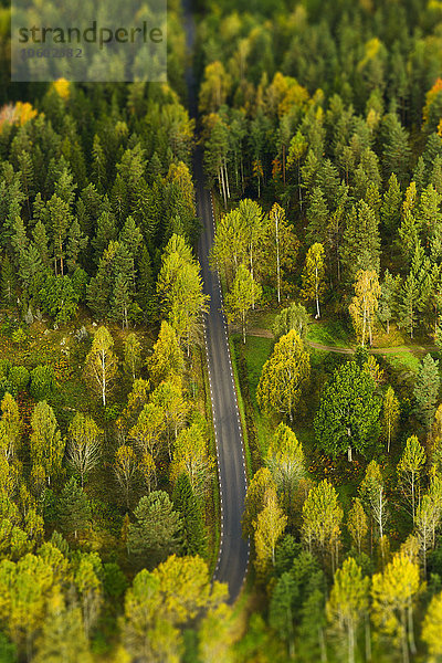 Luftaufnahme einer Straße  die durch einen herbstlichen Wald führt  Schweden