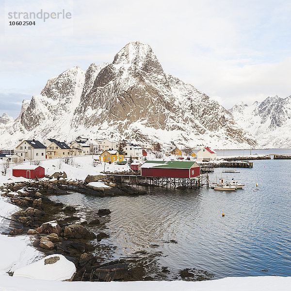 Kleines Dorf an der Küste  Reine  Lofoten  Norwegen