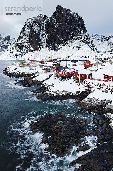 Küstenszene  Lofoten  Norwegen