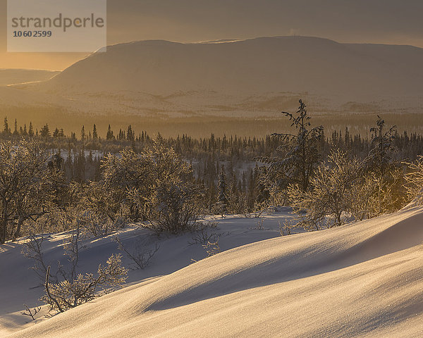 Winterlandschaft bei Sonnenuntergang  Harjedalen  Schweden