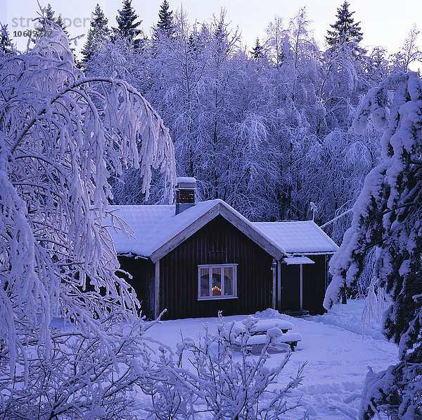 Hütte im verschneiten Wald.