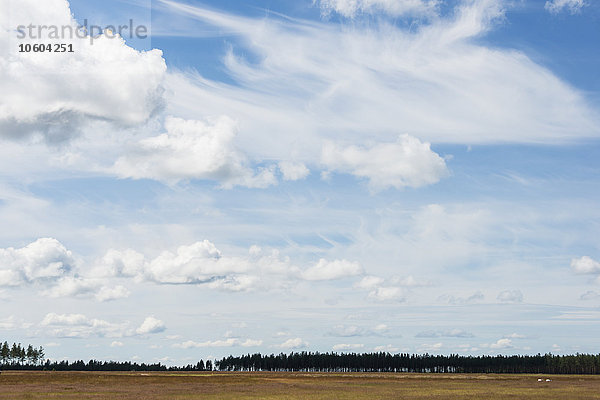 Wolken über dem Feld